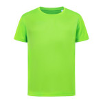 Verde Kiwi