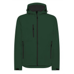 Verde Foresta