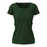 Verde Bottiglia