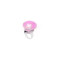 Anello Tayter