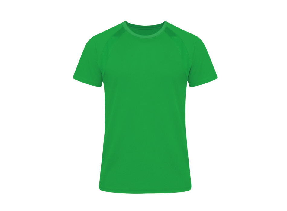 Tecnic Sappor Gheddi