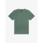 Verde Pino Slavato