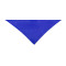 Bandana Wasat
