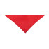 Bandana Wasat
