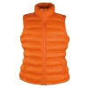 Womens Ice Bird Padded Gilet Gheddi