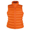 Womens Ice Bird Padded Gilet