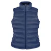 Womens Ice Bird Padded Gilet Gheddi